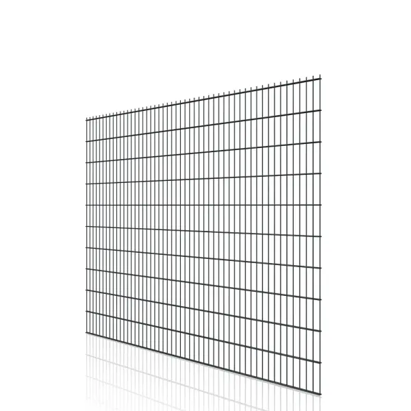 Artikelbild des Artikels “DV Doppelstabmatte 8/6/8 anthrazit RAL 7016 | 2030“