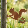 Artikelbild 3 des Artikels “Baumstecker Eichhörnchen auf Ast “