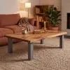 Artikelbild 3 des Artikels “Couch-Tischbein gerade 80/80 “